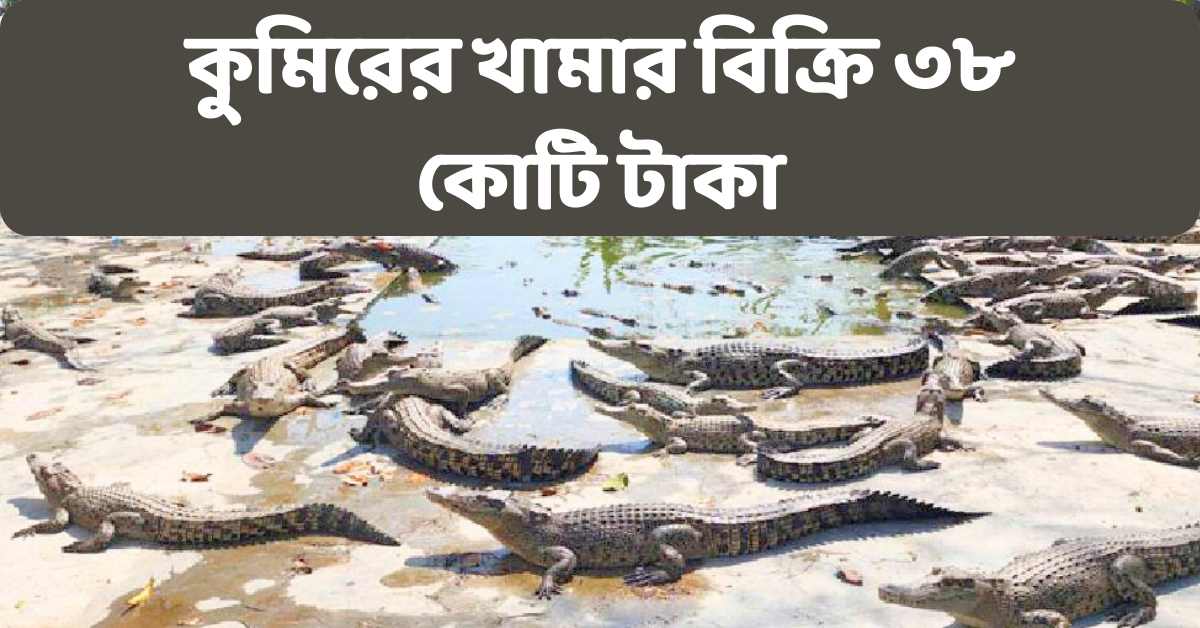 পিকে হালদারের কুমিরের খামার বিক্রি ৩৮ কোটি টাকা