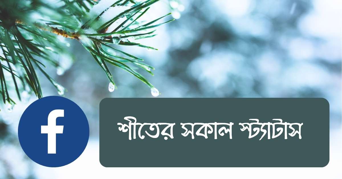 শীতের সকাল স্ট্যাটাস | Winter status for Gf